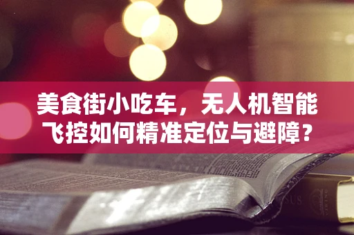 美食街小吃车，无人机智能飞控如何精准定位与避障？