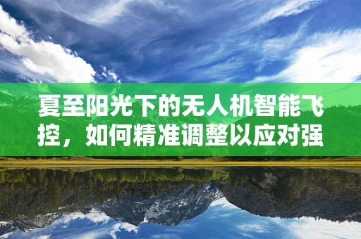 夏至阳光下的无人机智能飞控，如何精准调整以应对强光干扰？