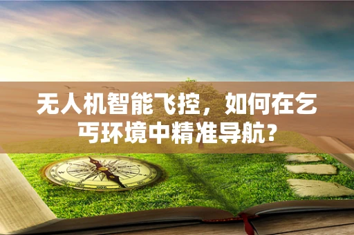 无人机智能飞控，如何在乞丐环境中精准导航？