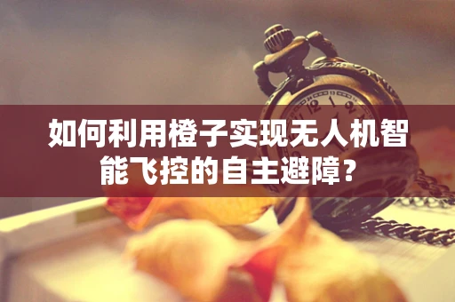 如何利用橙子实现无人机智能飞控的自主避障？