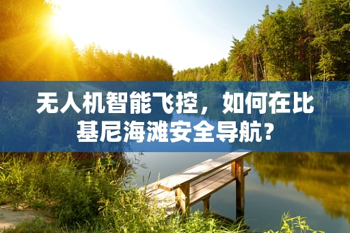 无人机智能飞控，如何在比基尼海滩安全导航？