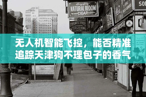 无人机智能飞控，能否精准追踪天津狗不理包子的香气？