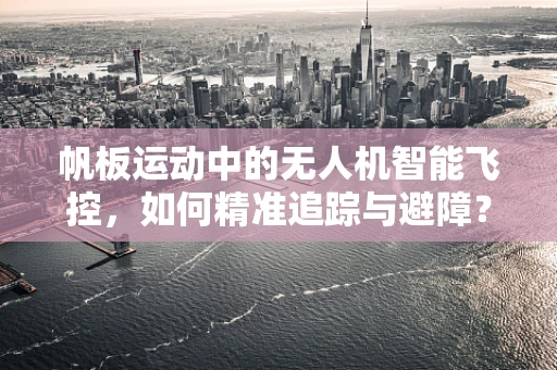 帆板运动中的无人机智能飞控，如何精准追踪与避障？