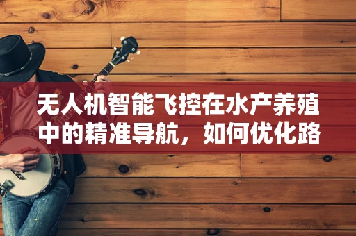 无人机智能飞控在水产养殖中的精准导航，如何优化路径规划以提升监测效率？
