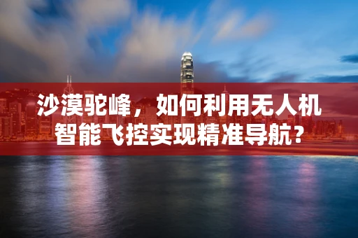 沙漠驼峰，如何利用无人机智能飞控实现精准导航？