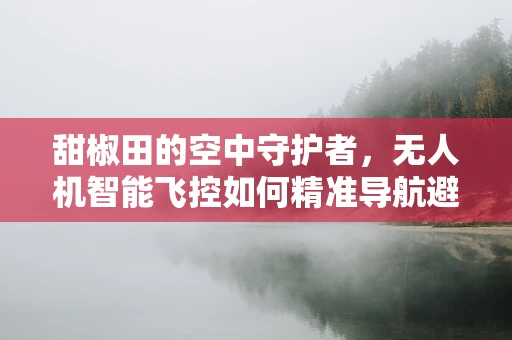 甜椒田的空中守护者，无人机智能飞控如何精准导航避障？