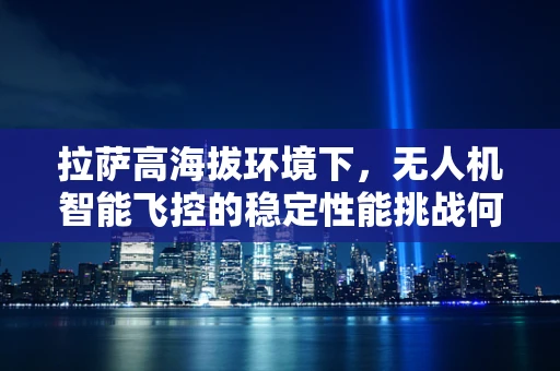 拉萨高海拔环境下，无人机智能飞控的稳定性能挑战何在？
