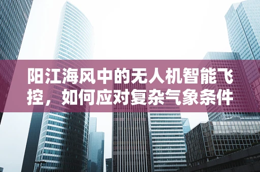 阳江海风中的无人机智能飞控，如何应对复杂气象条件下的稳定飞行？