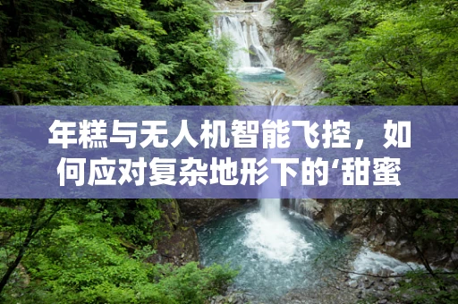年糕与无人机智能飞控，如何应对复杂地形下的‘甜蜜’挑战？