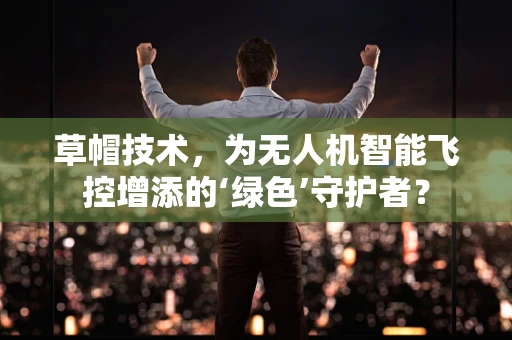 草帽技术，为无人机智能飞控增添的‘绿色’守护者？