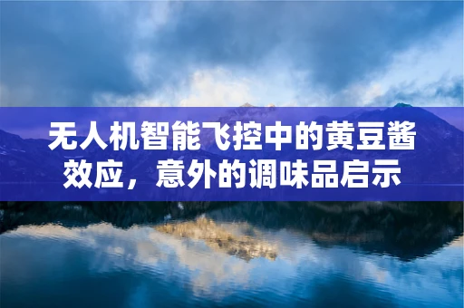 无人机智能飞控中的黄豆酱效应，意外的调味品启示