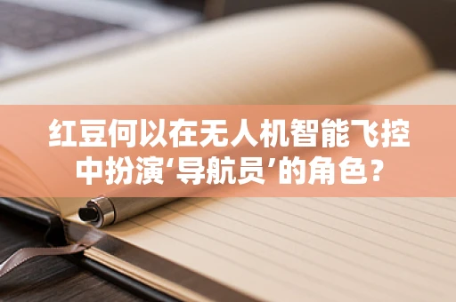红豆何以在无人机智能飞控中扮演‘导航员’的角色？