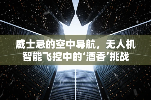威士忌的空中导航，无人机智能飞控中的‘酒香’挑战