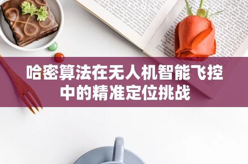 哈密算法在无人机智能飞控中的精准定位挑战