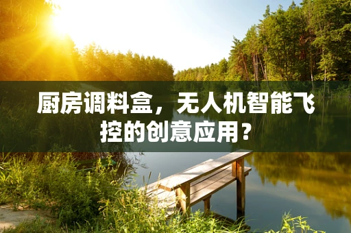 厨房调料盒，无人机智能飞控的创意应用？