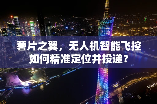 薯片之翼，无人机智能飞控如何精准定位并投递？