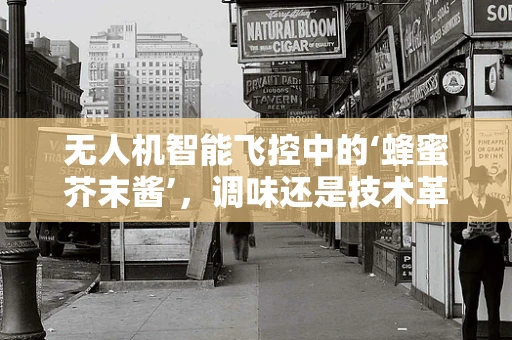 无人机智能飞控中的‘蜂蜜芥末酱’，调味还是技术革新？