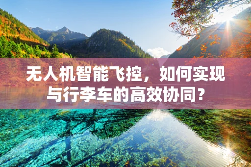 无人机智能飞控，如何实现与行李车的高效协同？