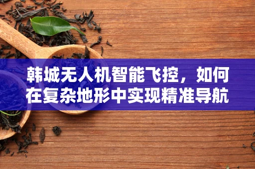 韩城无人机智能飞控，如何在复杂地形中实现精准导航？