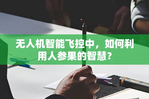 无人机智能飞控中，如何利用人参果的智慧？