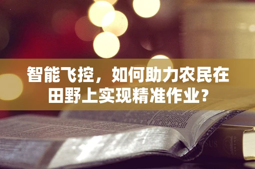 智能飞控，如何助力农民在田野上实现精准作业？