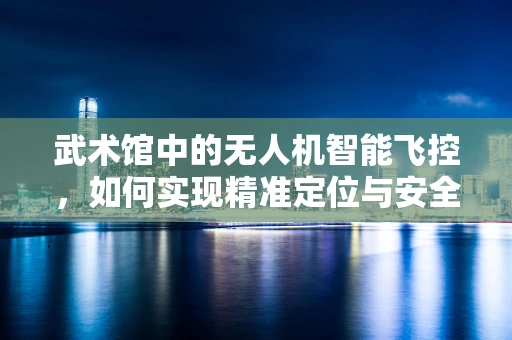 武术馆中的无人机智能飞控，如何实现精准定位与安全避障？