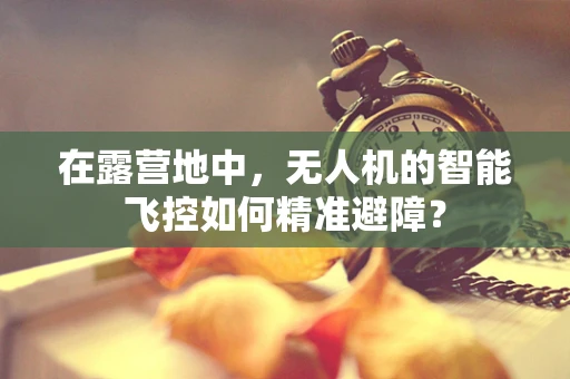 在露营地中，无人机的智能飞控如何精准避障？