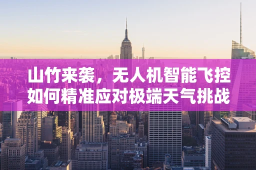 山竹来袭，无人机智能飞控如何精准应对极端天气挑战？