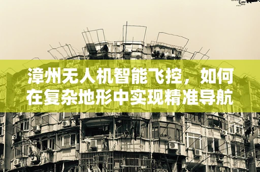 漳州无人机智能飞控，如何在复杂地形中实现精准导航？