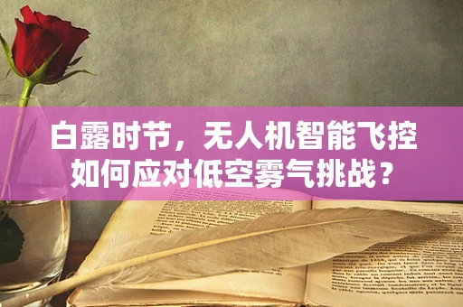 白露时节，无人机智能飞控如何应对低空雾气挑战？