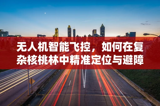 无人机智能飞控，如何在复杂核桃林中精准定位与避障？