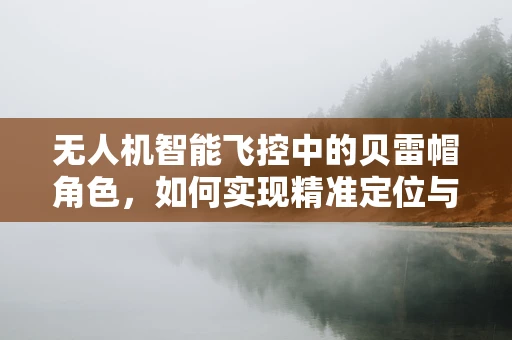 无人机智能飞控中的贝雷帽角色，如何实现精准定位与避障？