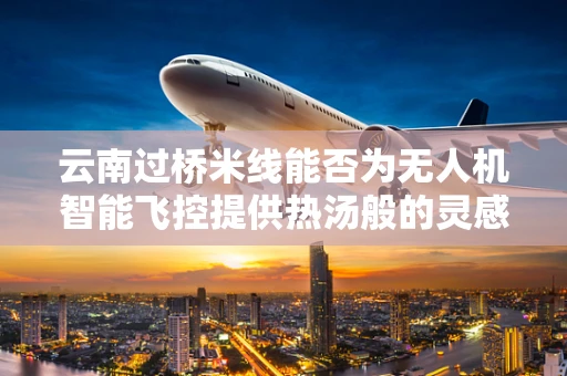 云南过桥米线能否为无人机智能飞控提供热汤般的灵感？