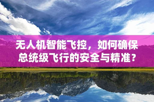 无人机智能飞控，如何确保总统级飞行的安全与精准？