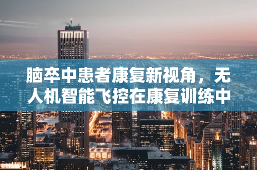 脑卒中患者康复新视角，无人机智能飞控在康复训练中的应用挑战