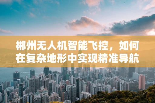 郴州无人机智能飞控，如何在复杂地形中实现精准导航？