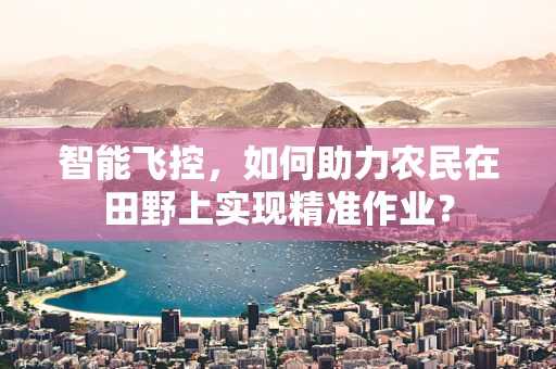 智能飞控，如何助力农民在田野上实现精准作业？