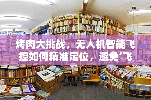 烤肉大挑战，无人机智能飞控如何精准定位，避免‘飞入’烤肉香气的陷阱？