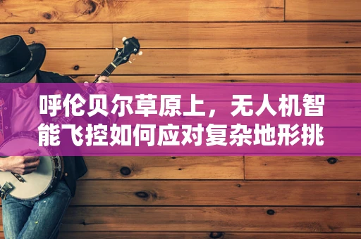 呼伦贝尔草原上，无人机智能飞控如何应对复杂地形挑战？
