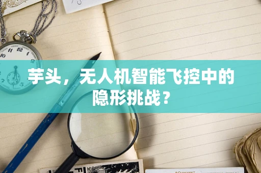 芋头，无人机智能飞控中的隐形挑战？