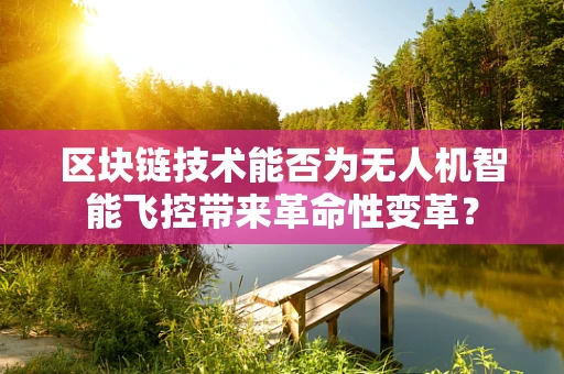 区块链技术能否为无人机智能飞控带来革命性变革？