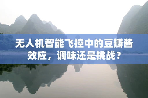 无人机智能飞控中的豆瓣酱效应，调味还是挑战？