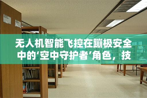 无人机智能飞控在蹦极安全中的‘空中守护者’角色，技术挑战与解决方案？