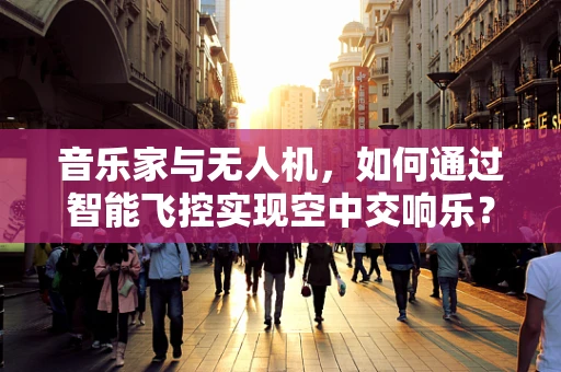 音乐家与无人机，如何通过智能飞控实现空中交响乐？