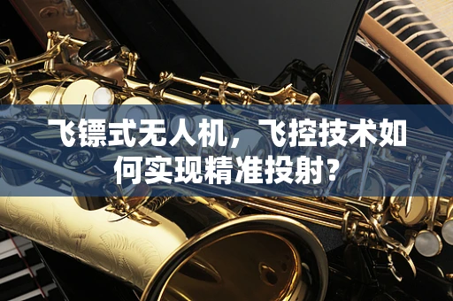 飞镖式无人机，飞控技术如何实现精准投射？