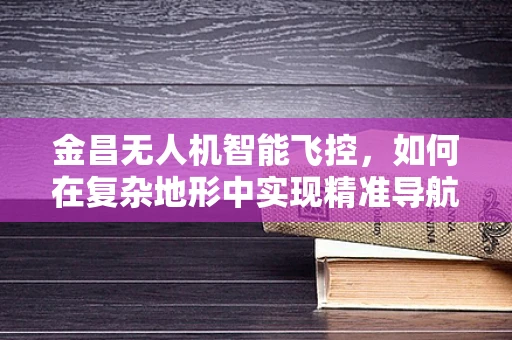金昌无人机智能飞控，如何在复杂地形中实现精准导航？