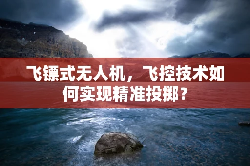 飞镖式无人机，飞控技术如何实现精准投掷？