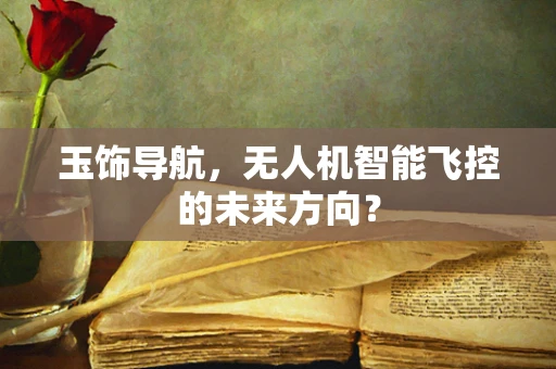玉饰导航，无人机智能飞控的未来方向？