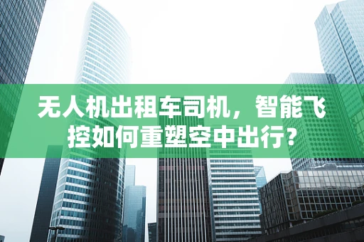 无人机出租车司机，智能飞控如何重塑空中出行？