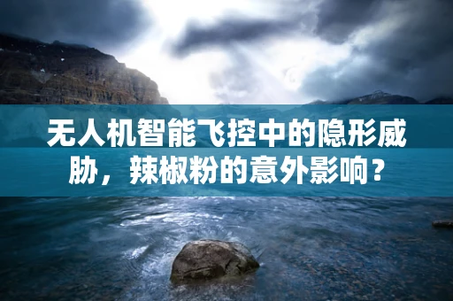 无人机智能飞控中的隐形威胁，辣椒粉的意外影响？